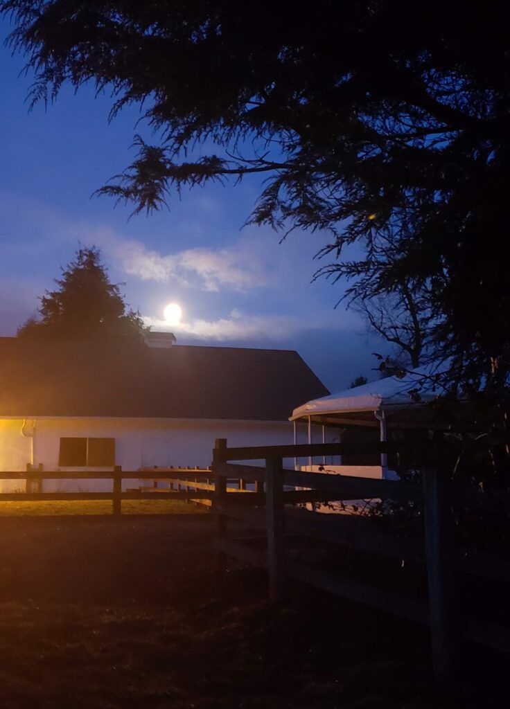 Stables at night PS Arabians Farm Enumclaw WA purebred Arabian show horses
