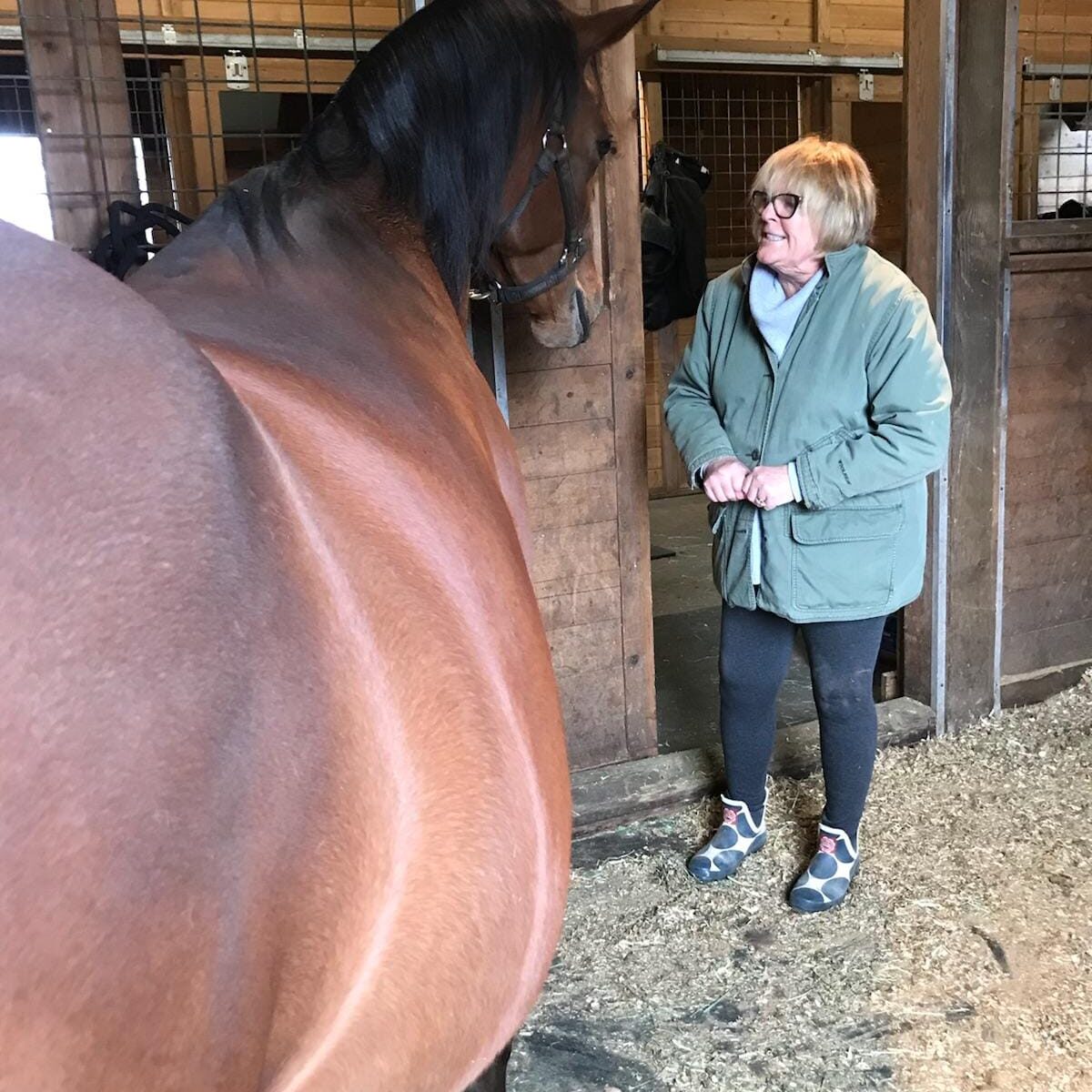 PS Arabians owner Sheila Stewart gives Thee Aurora, a chestnut Arabian mare in foal, her a pep talk before she gives birth to her foal