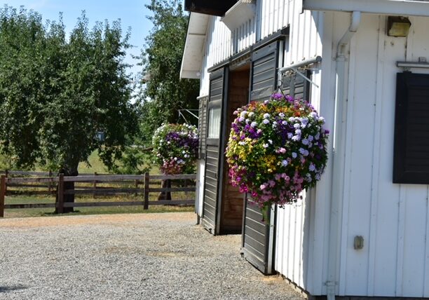 Stables with flowers PS Arabians Farm Enumclaw WA dressage trained Arabian horses